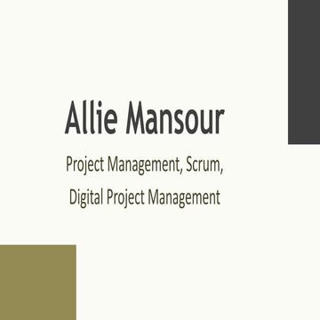 Allie Mansour - A Passionate Leader From Montréal, Canada.pdf