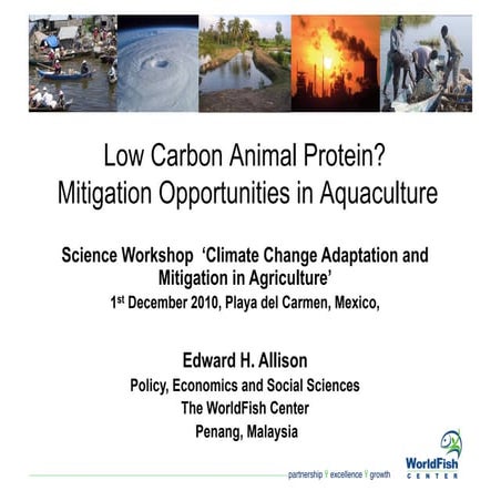 Allison - Mitigation aquaculture