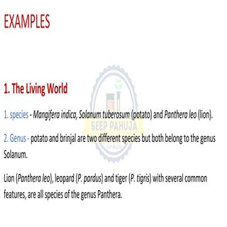 Comprehensive Biology ( EXAMPLE ) Notes (NCERT) | PDF