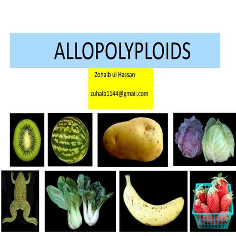 Allopolyploid 