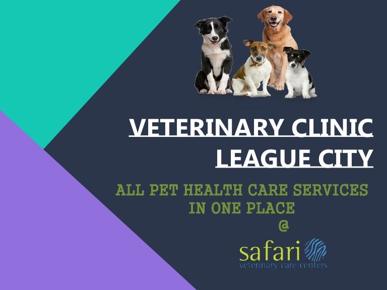 all pet veterinary