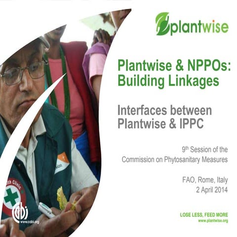 Plantwise + IPPC side event at CPM9 in Rome- April 2, 2014