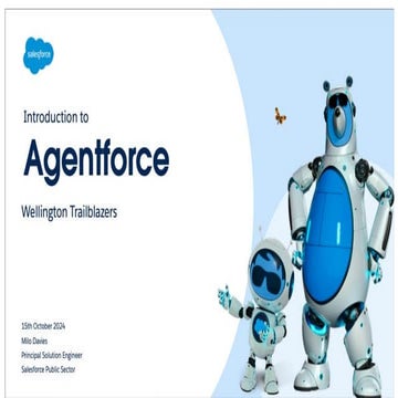 Salesforce Wellington community meeting October 2024