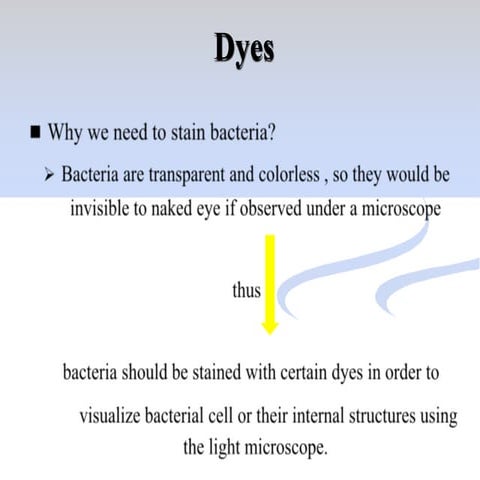 All staining techniques