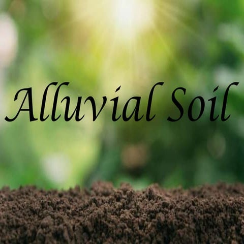 Alluvial soil ppt.pdf