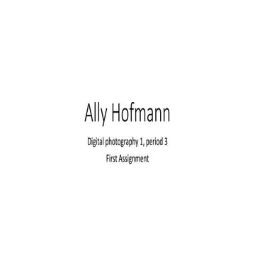 Ally hofmann 