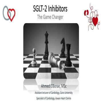 SGLT2 inhibitors