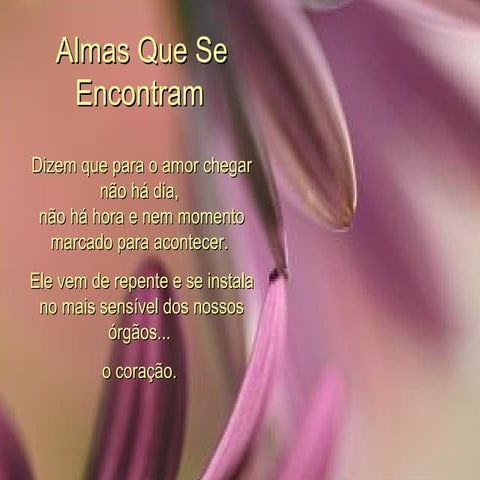 Almas que se encontram | PPS