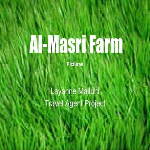 Al Masri Farm