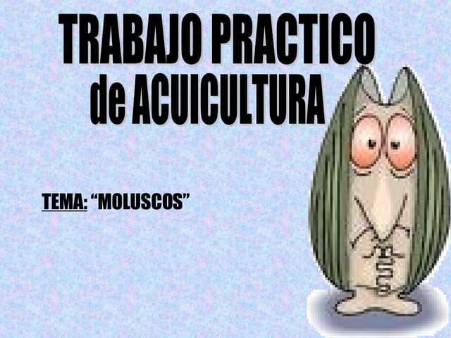 Almeja1
