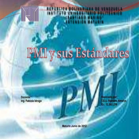 Mapa conceptual PMI | PPTX