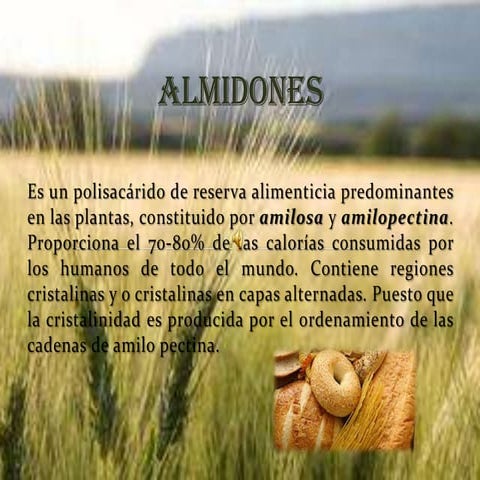 Almidones | PPTX