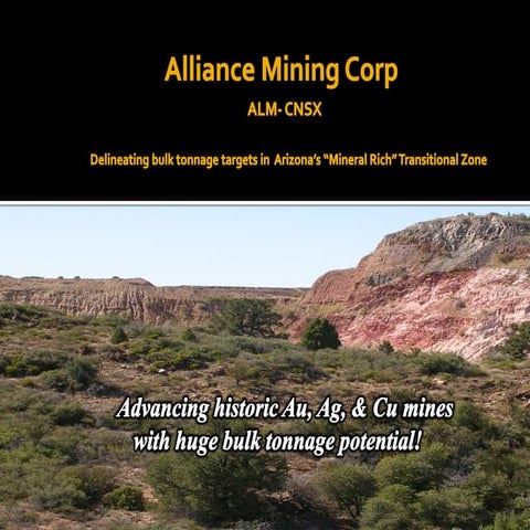 Aliance Mining nov final 2010 pp  (9)