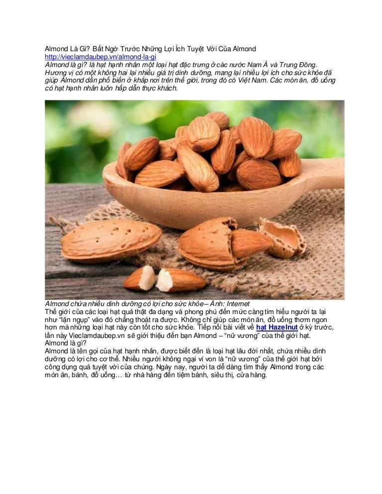 Almond Là Gì? Bất Ngờ Trước Những Lợi Ích Tuyệt Vời Của Almond