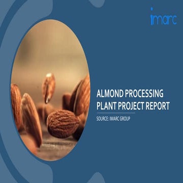 Setting Up an Almond Processing Plant Project Report 2024.pdf
