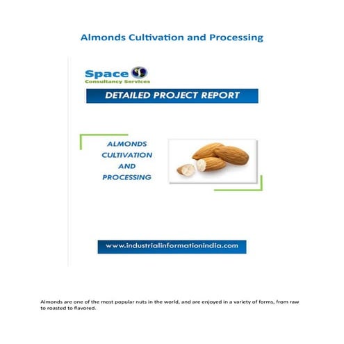 Almonds Cultivation and Processing Project Report
