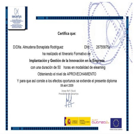 Secartys - Curso implantación y gestión de la innovación en la empresa - 2009...