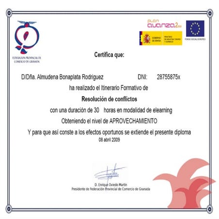 Avanza2 - Curso resolución de conflictos - 2009 certificado