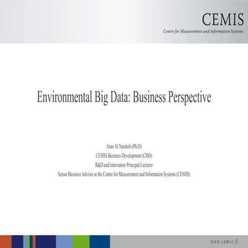 Environmental Big Data: Business Perspective