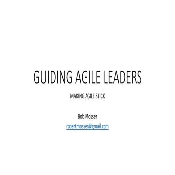 Dallas ALN Presentation - GUIDING AGILE LEADERS