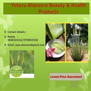 Yeturu Aloe Vera beauty and health ...