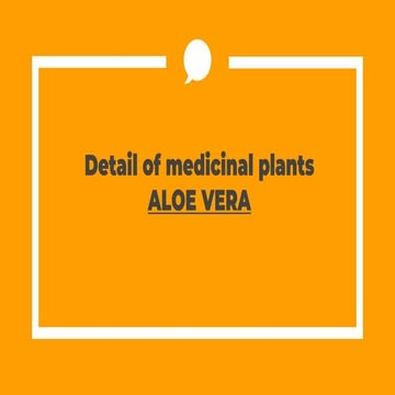Aloe vera