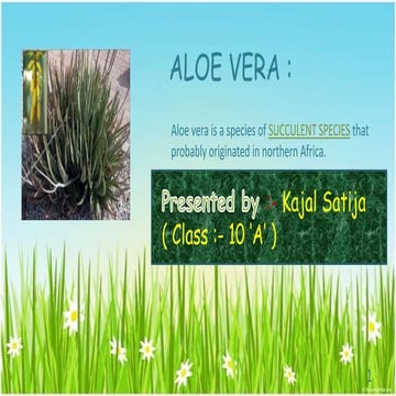 Aloe vera