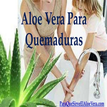 Resultado de imagen de Di adiós a la piel seca: el poder de Aloe Vera infografías