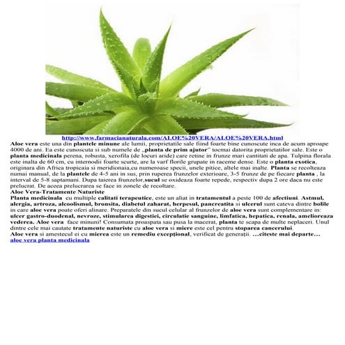 kann man jede aloe vera auf die haut Aloe Vera Gel