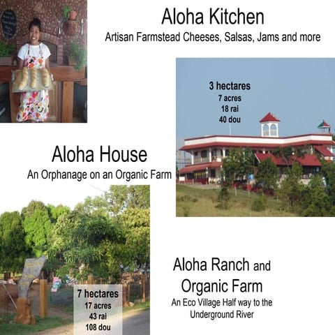 Aloha House 2014