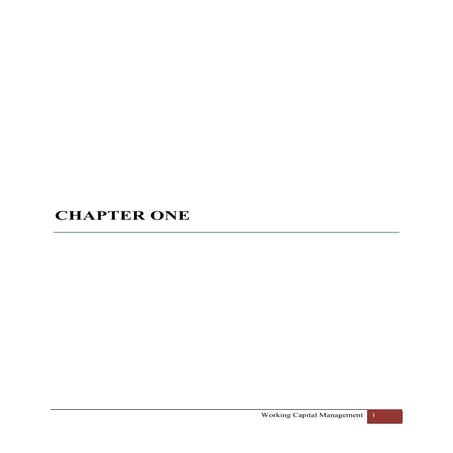 A Project on Working Capital Management by Alok, PGDM, IPE, Hyderabad.