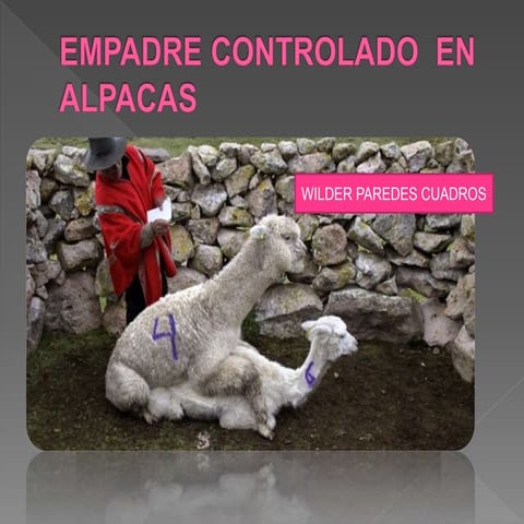 Ventajas de la industria porcina | DOCX