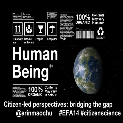 Citizen-led perspectives: bridging the gap