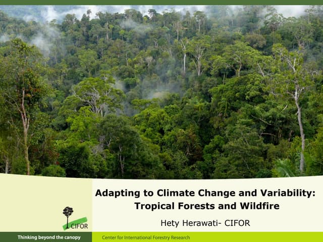 Adapting to climate change and variability: Tropical forests and wildfire