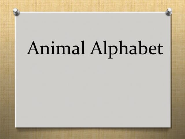 Animal Alphabet