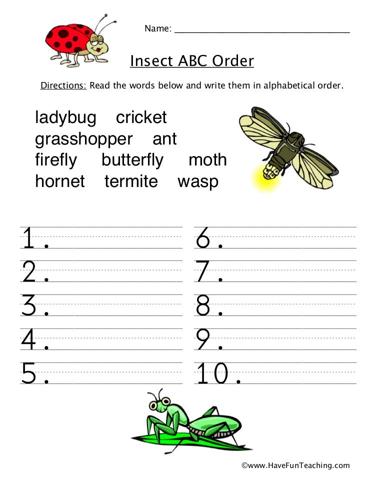 alphabetical order worksheet insects