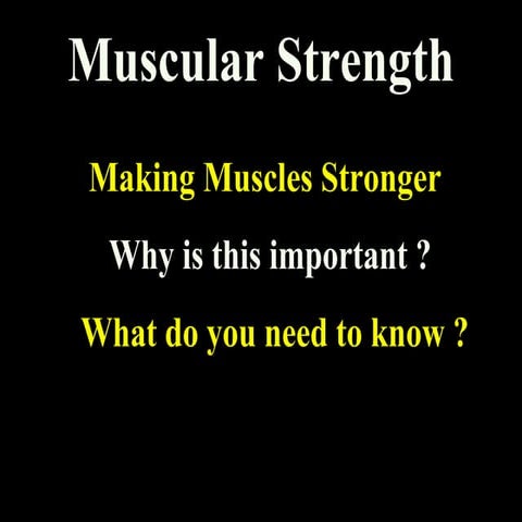 Alpha Muscle Strength & Weight Training 