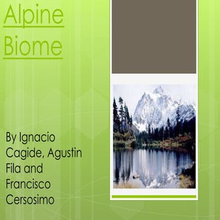 Alpine biome presentation