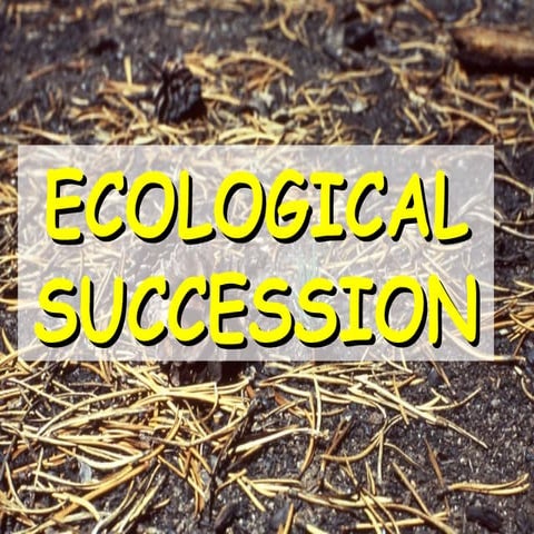ecological succession