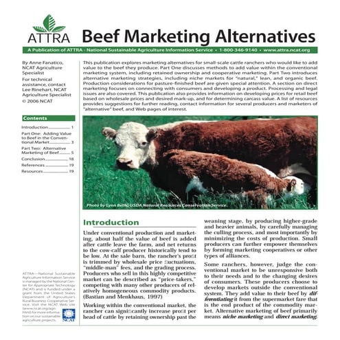 Beef Marketing Alternatives
