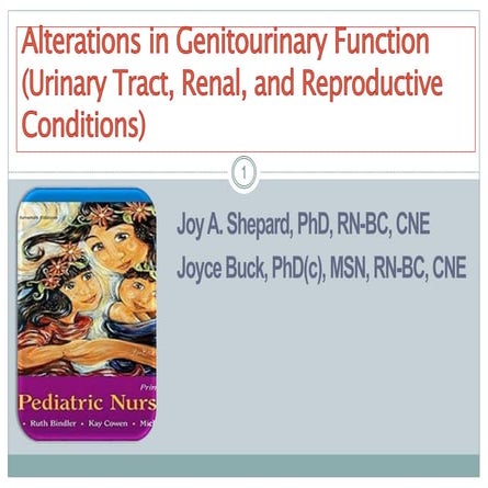 Alterations in genitourinary function in children fall 2017