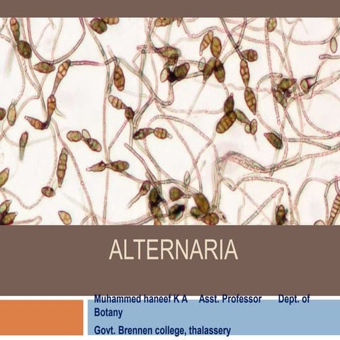 Alternaria