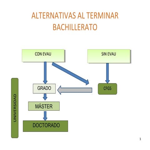 Alternativas al terminar bachillerato