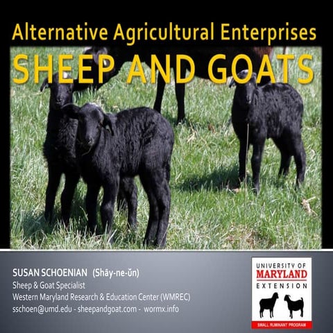 Sheep and goats as alternative enterprises