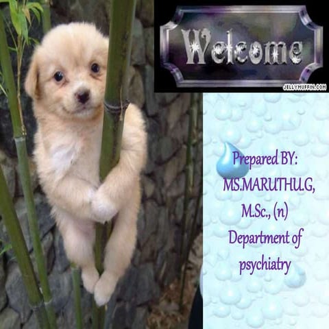 Alternative medical systems in psychiatric nursing