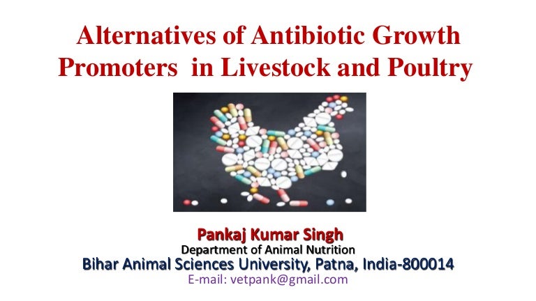 Alternative Of Antibiotic Growth Promoter In Livestock And Poultry