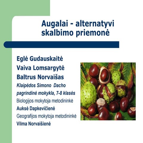 Alternatyvi skalbimo priemonė2