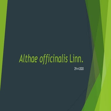 Althae officinalis linn | PDF