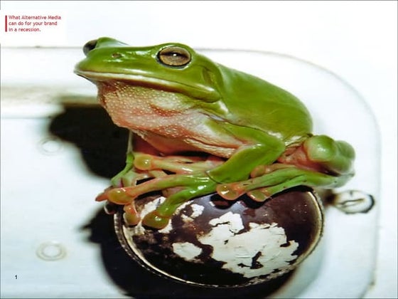 Alt Media Womuk Presentation