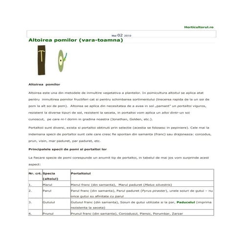 Altoirea pomilor vara toamna